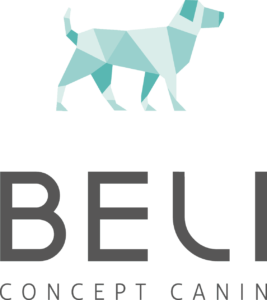 Logo Beli Vertical Transparent