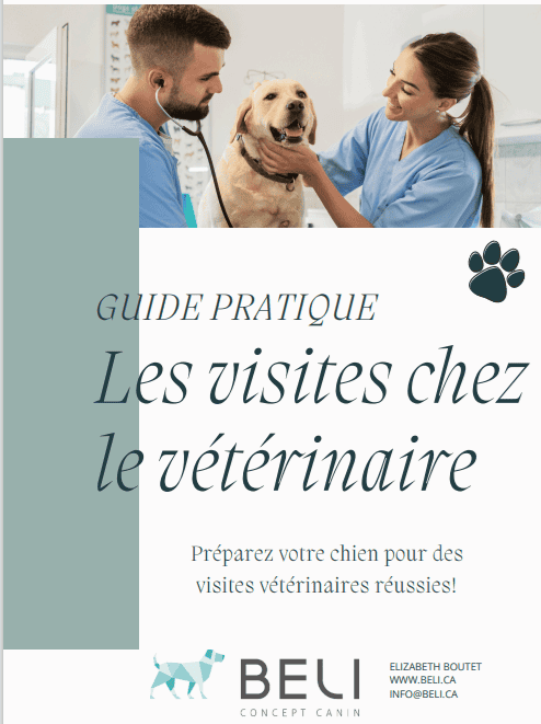 Visites chez le vétérinaire