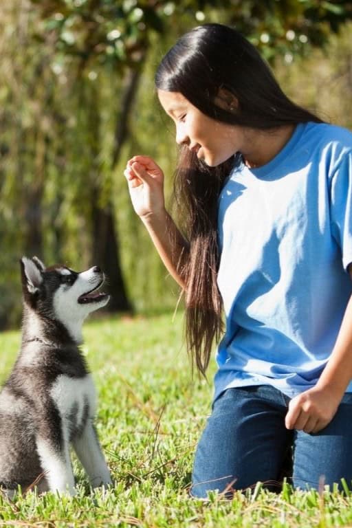 Construire une relation fiable