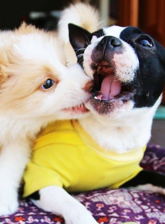 Favoriser les petites réussites