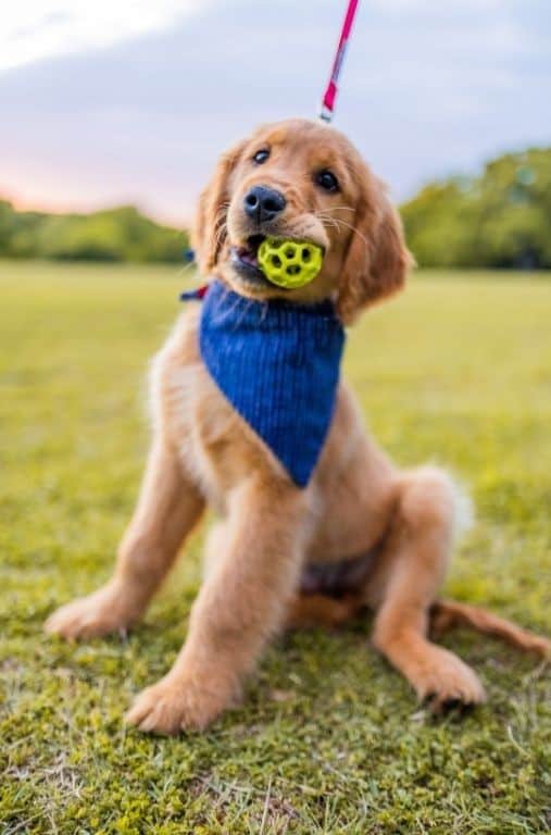 Installer une communication claire et cohérente