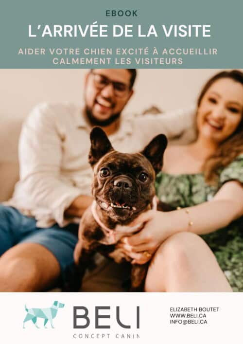 L'ARRIVÉE DE LA VISITE Ebook